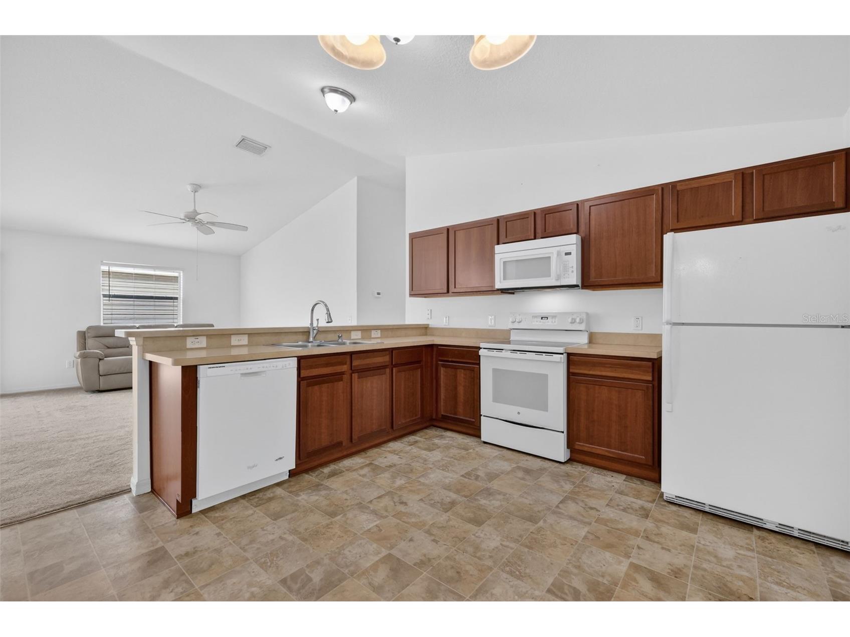 3419 Carrabelle Court The Villages FL 32163 G5113373 image8