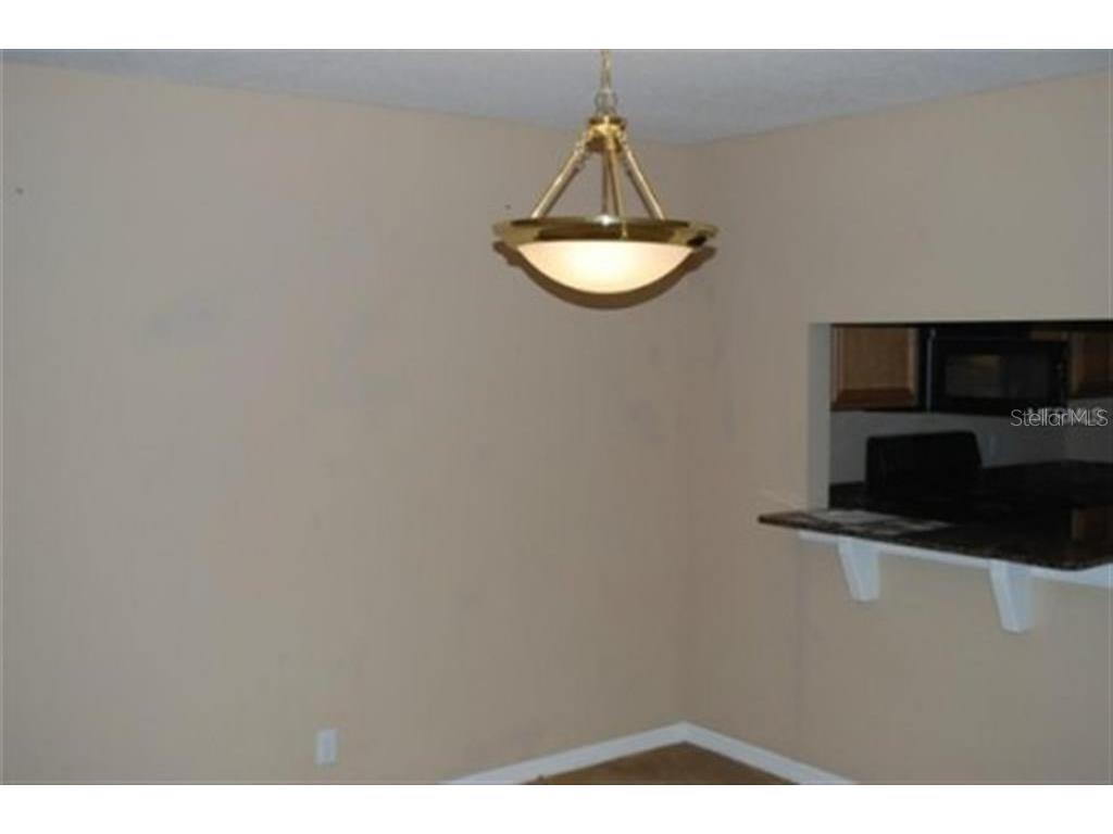 3419 Dragon View Court Valrico FL 33594 A4690869 image12