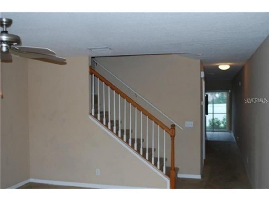 3419 Dragon View Court Valrico FL 33594 A4690869 image2
