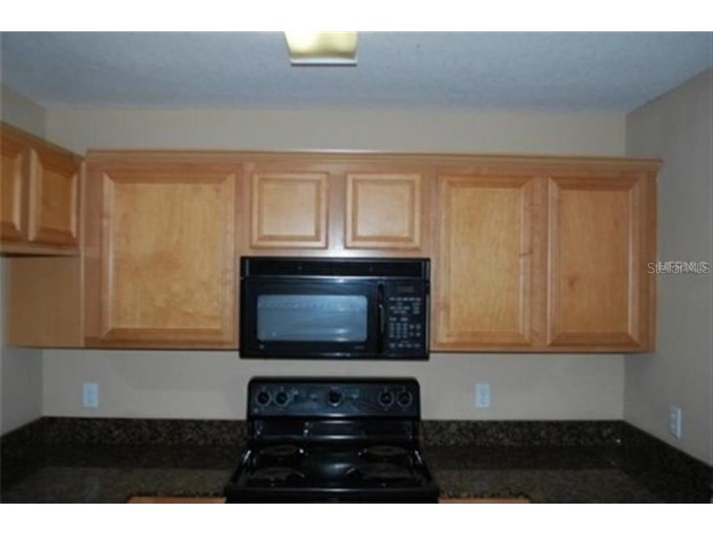 3419 Dragon View Court Valrico FL 33594 A4690869 image4