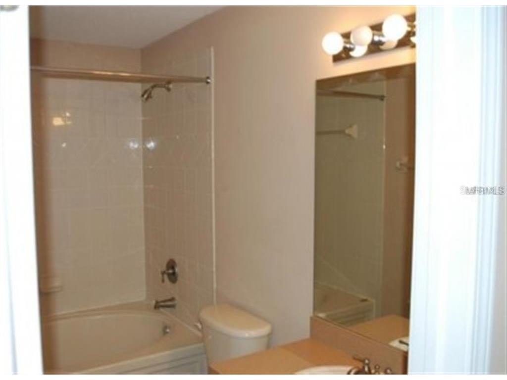 3419 Dragon View Court Valrico FL 33594 A4690869 image6