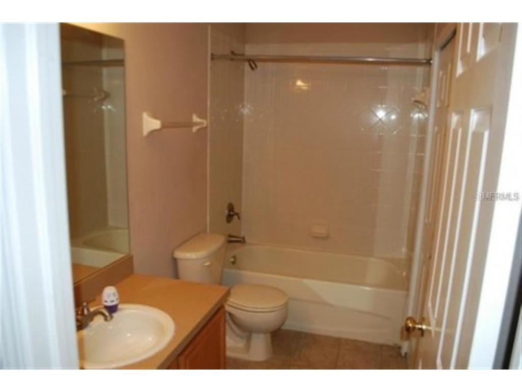 3419 Dragon View Court Valrico FL 33594 A4690869 image8