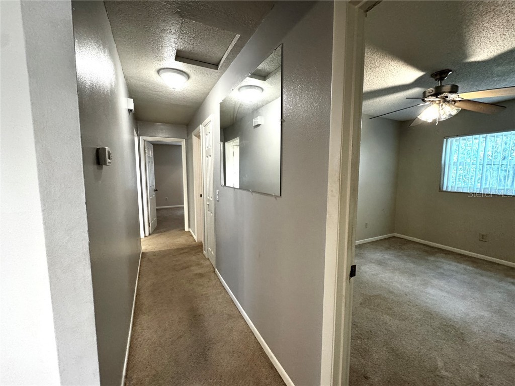 3419 Pearson Road Valrico FL 33596 TB8391009 image8