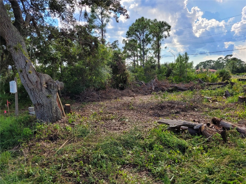 3419 Swanee Road Port Charlotte FL 33980 TB8350902 image9