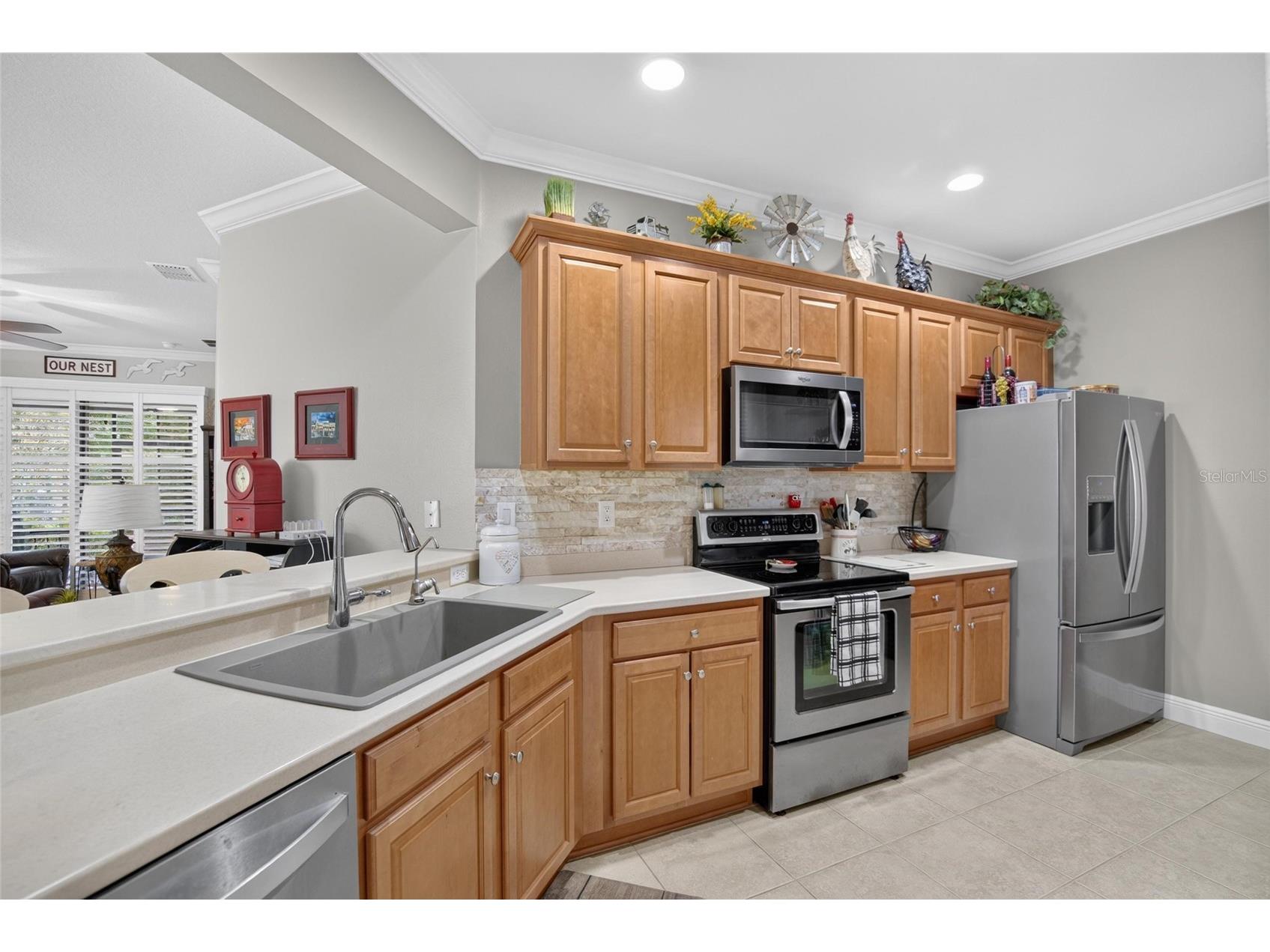 342 Bluewater Falls Court Apollo Beach FL 33572 TB8525371 image15