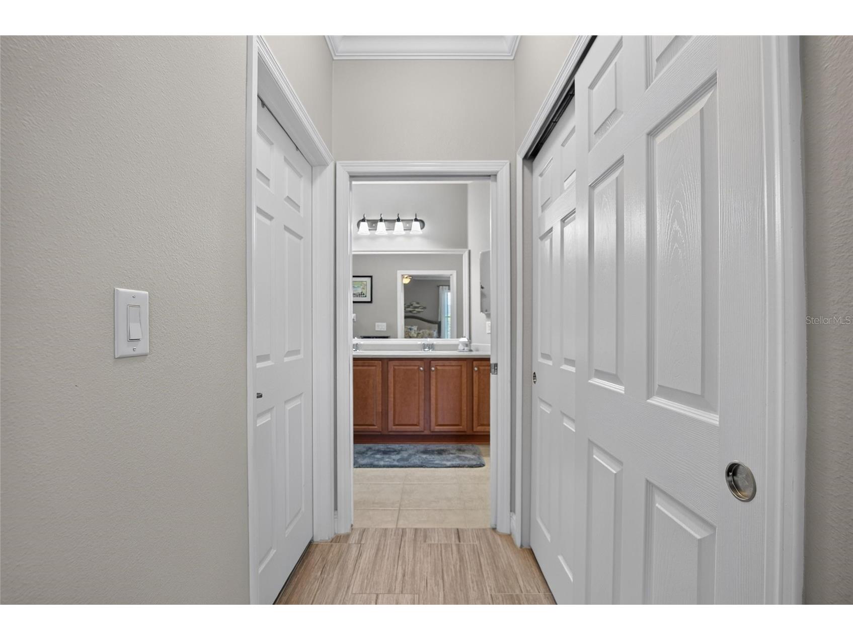 342 Bluewater Falls Court Apollo Beach FL 33572 TB8525371 image29