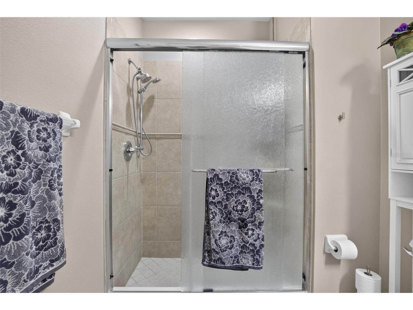 342 Bluewater Falls Court Apollo Beach FL 33572 TB8525371 image31
