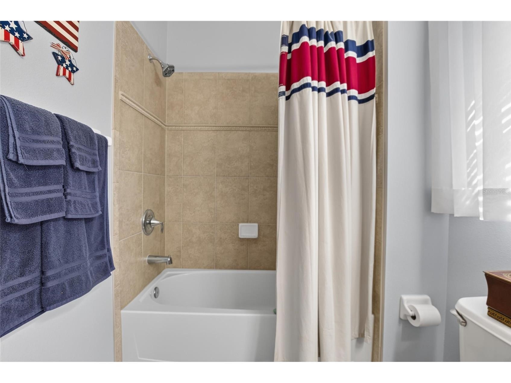 342 Bluewater Falls Court Apollo Beach FL 33572 TB8525371 image35