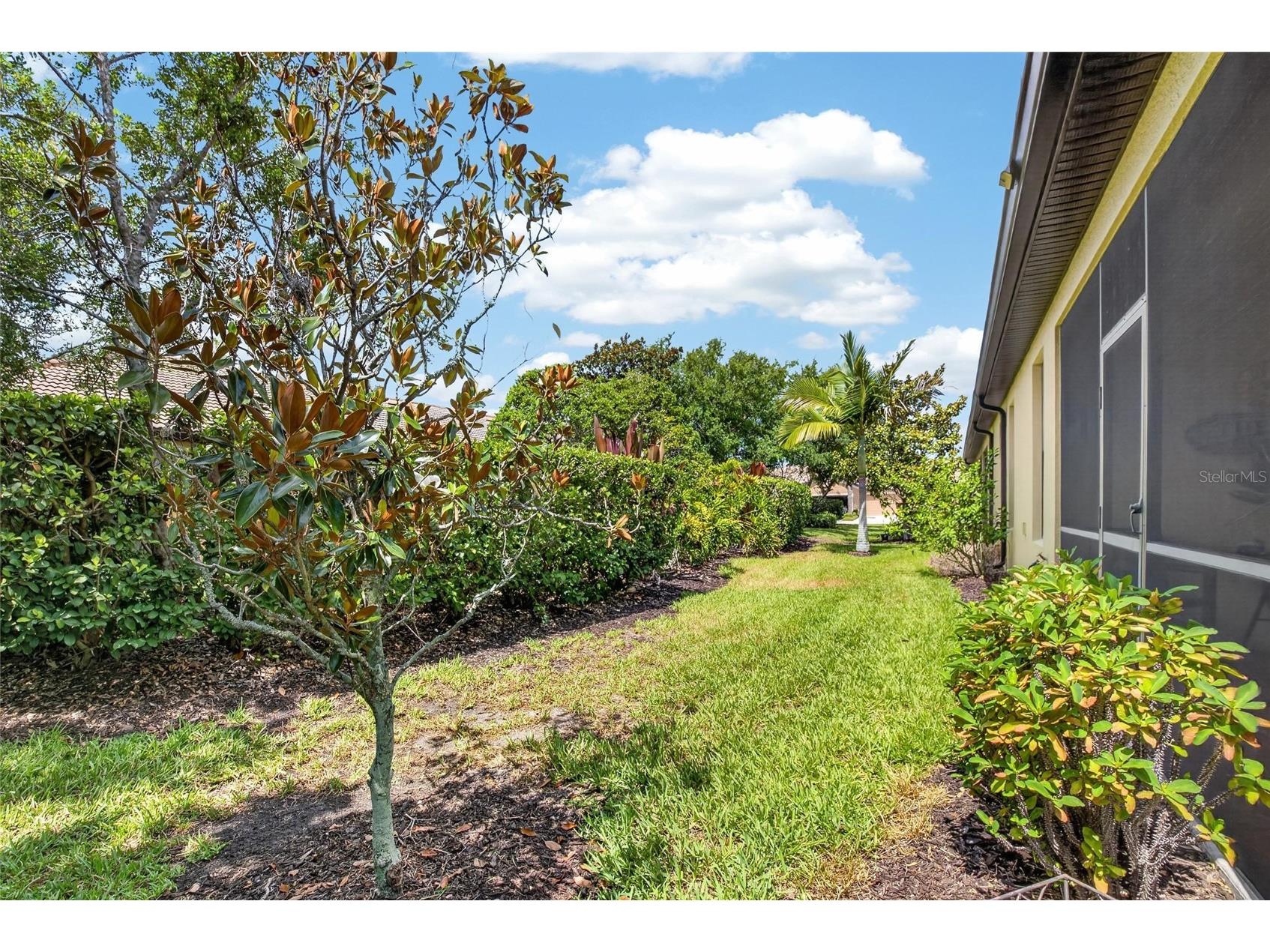 342 Bluewater Falls Court Apollo Beach FL 33572 TB8525371 image49