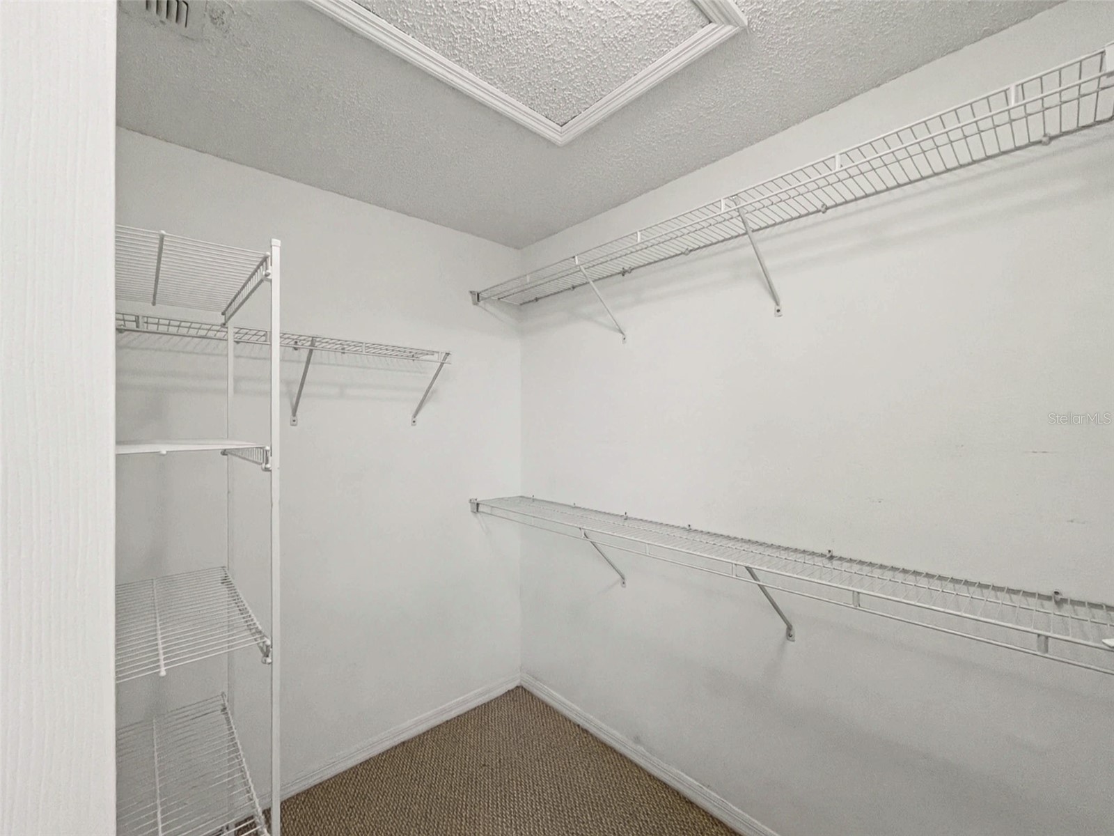 342 Dahoon Holly Drive Daytona Beach FL 32117 V4946752 image18