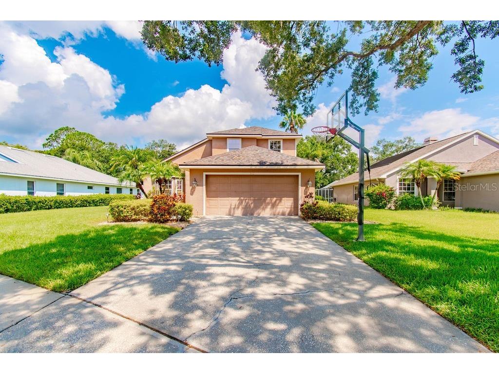 342 Fountainview Circle Oldsmar FL 34677 U8206141 image1