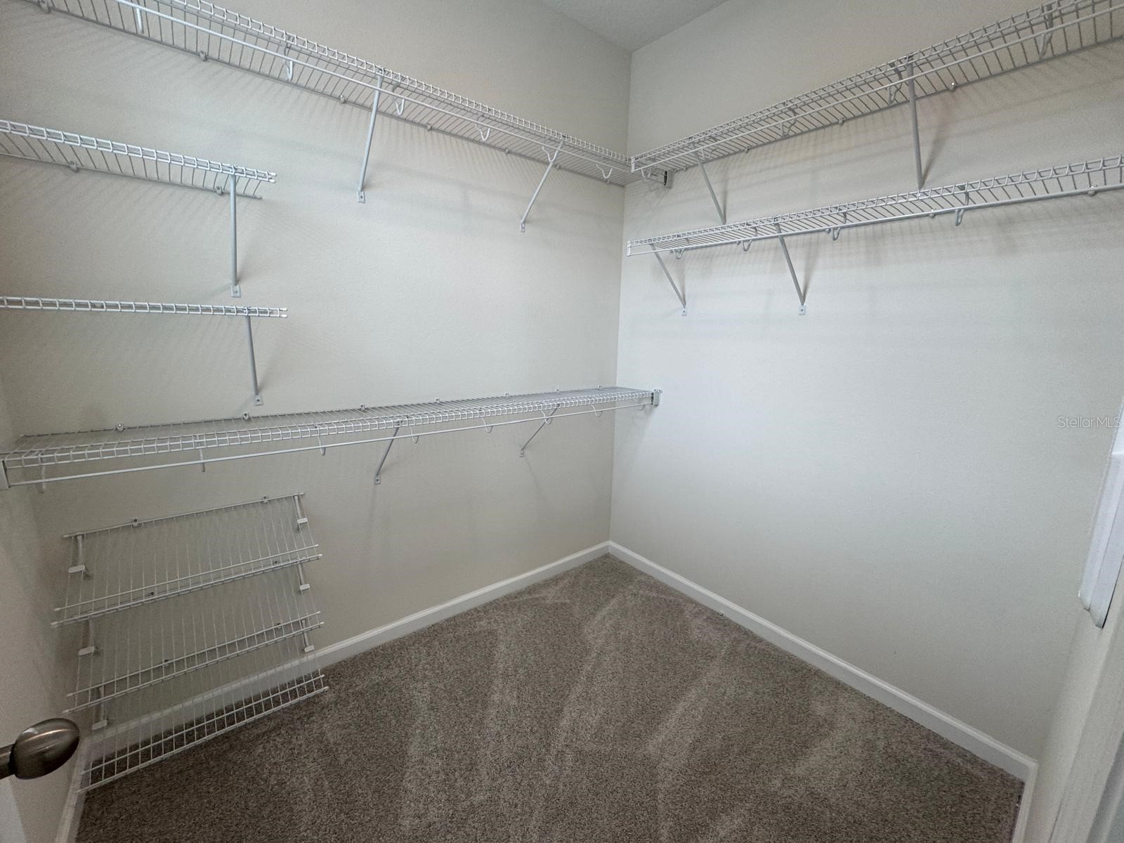 342 Lady Palm Street Apopka FL 32703 S5144160 image13