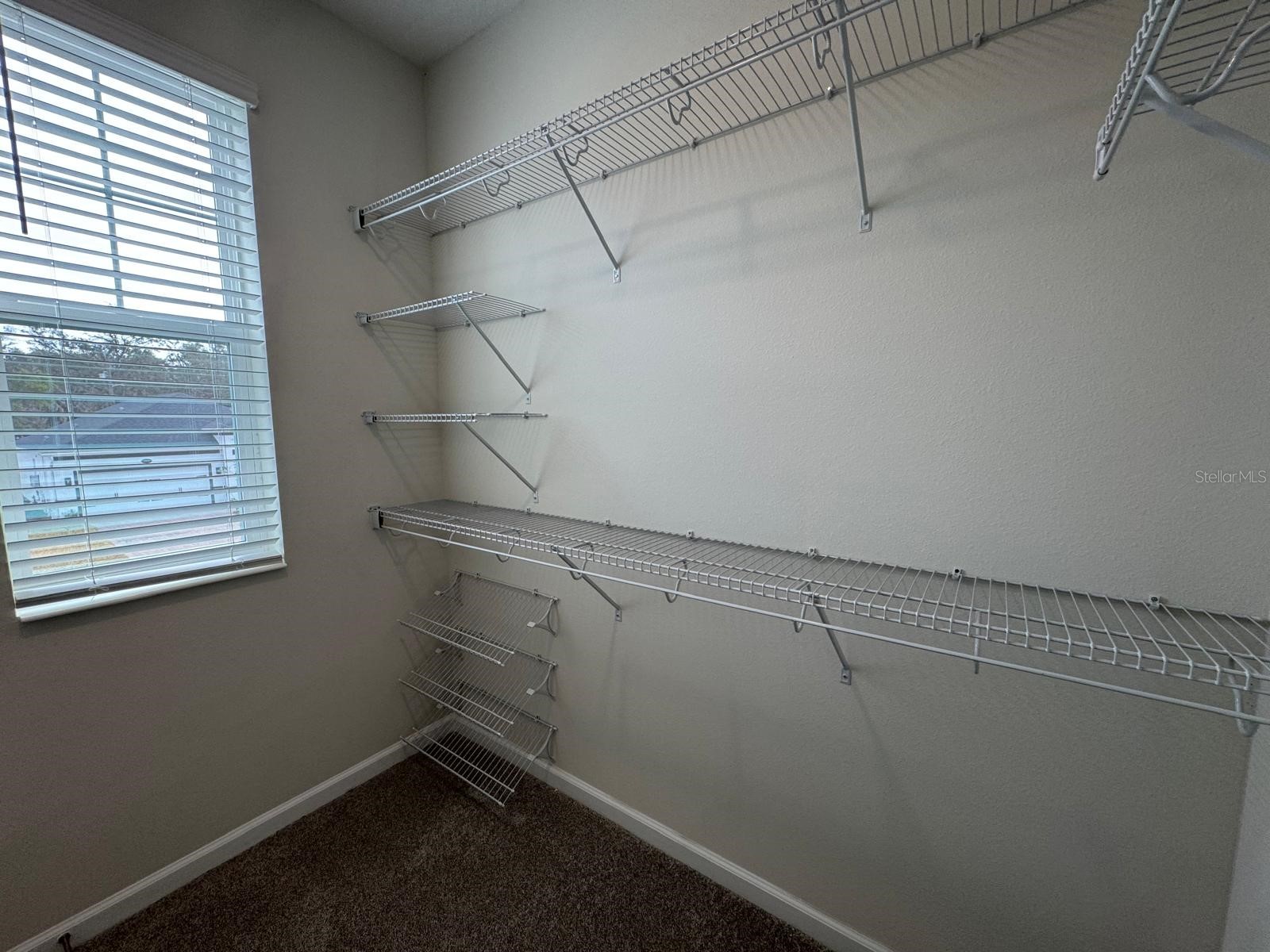 342 Lady Palm Street Apopka FL 32703 S5144160 image14
