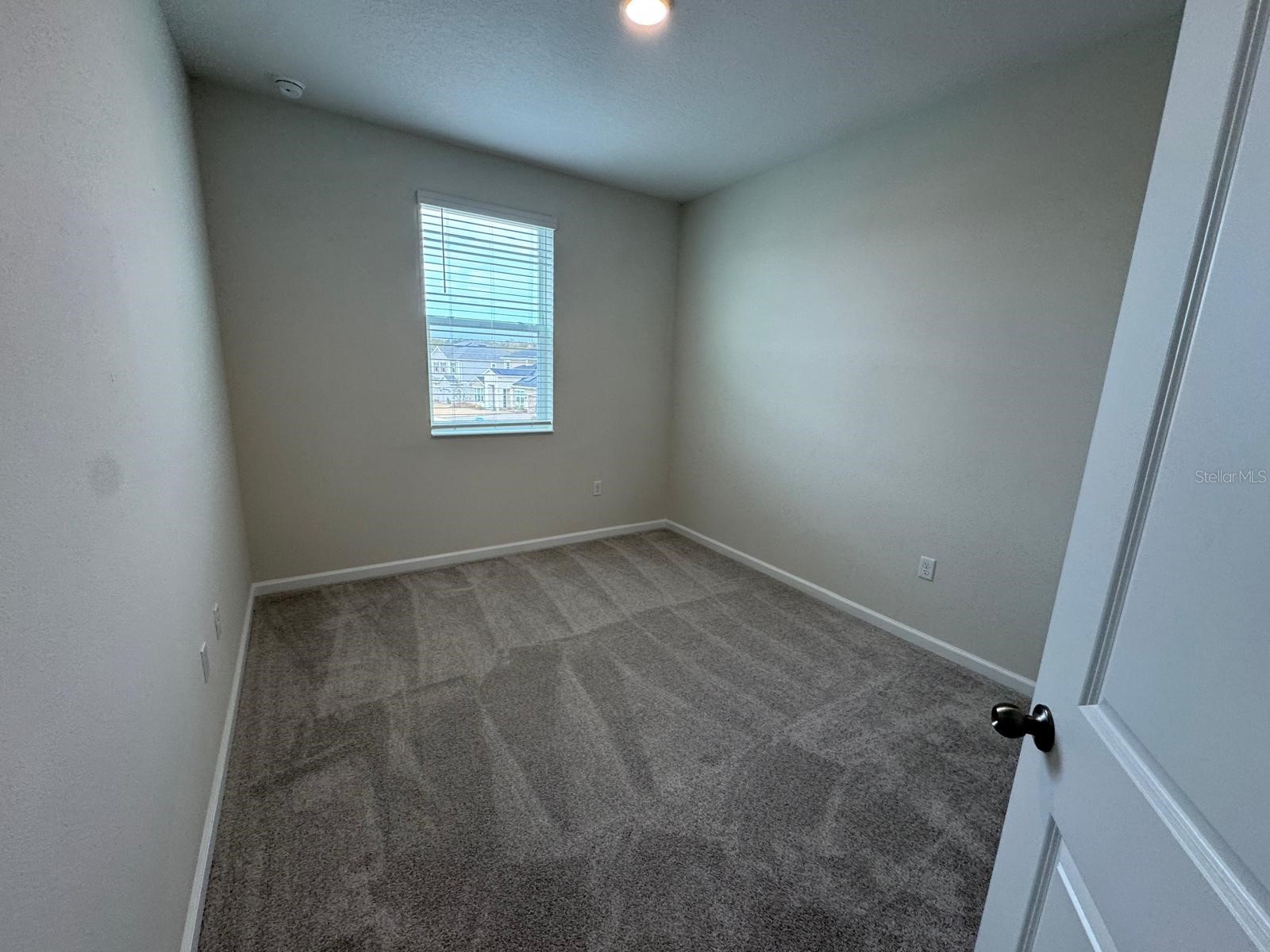 342 Lady Palm Street Apopka FL 32703 S5144160 image19