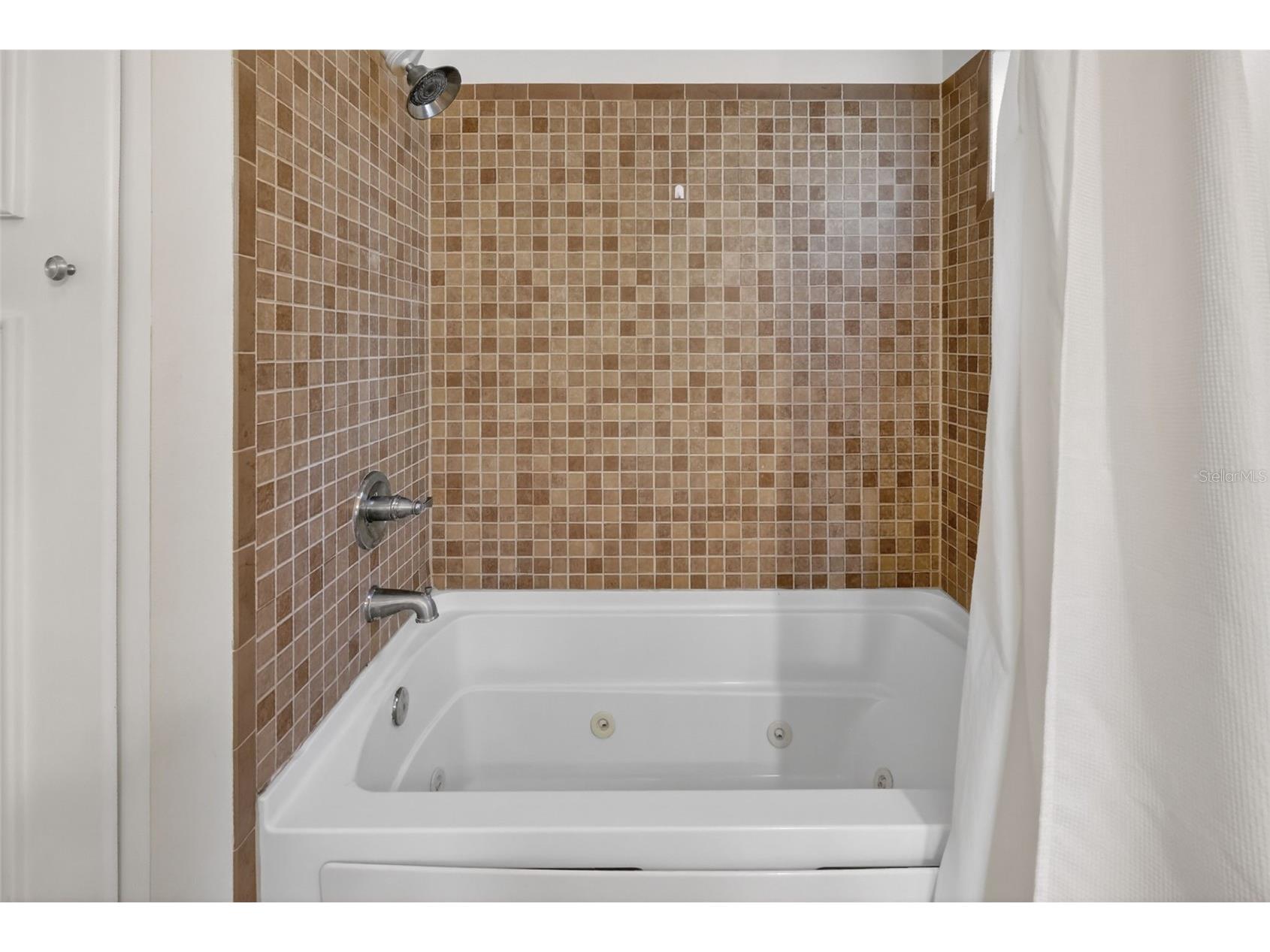 342 S Clayton Street Mount Dora FL 32757 G5108937 image13