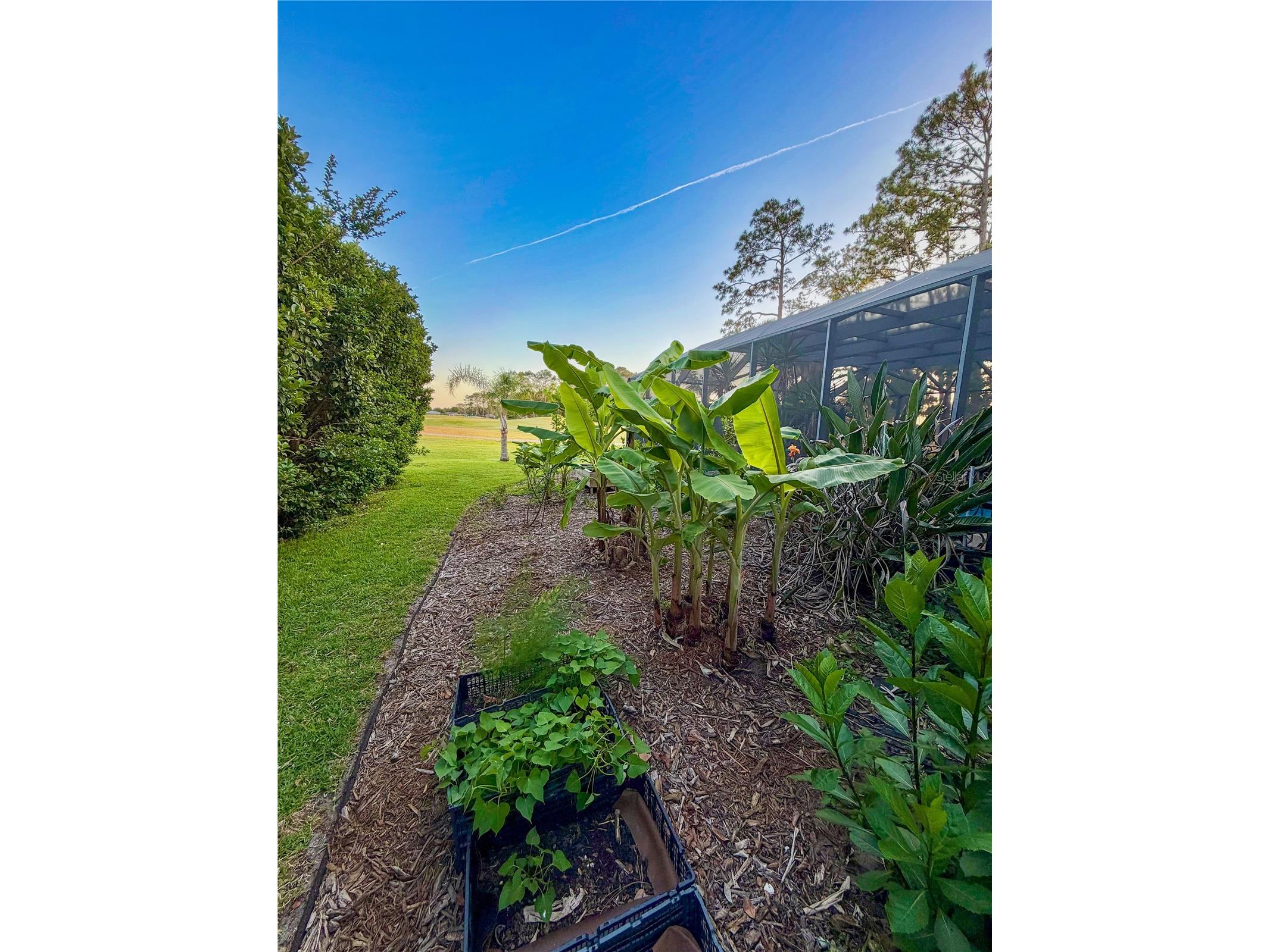 342 Wellington Drive Palm Coast FL 32164 FC318444 image61