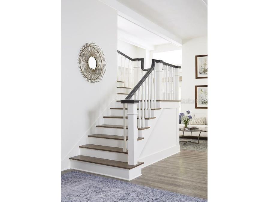 3420 Channelside Court Safety Harbor FL 34695 TB8375309 image19