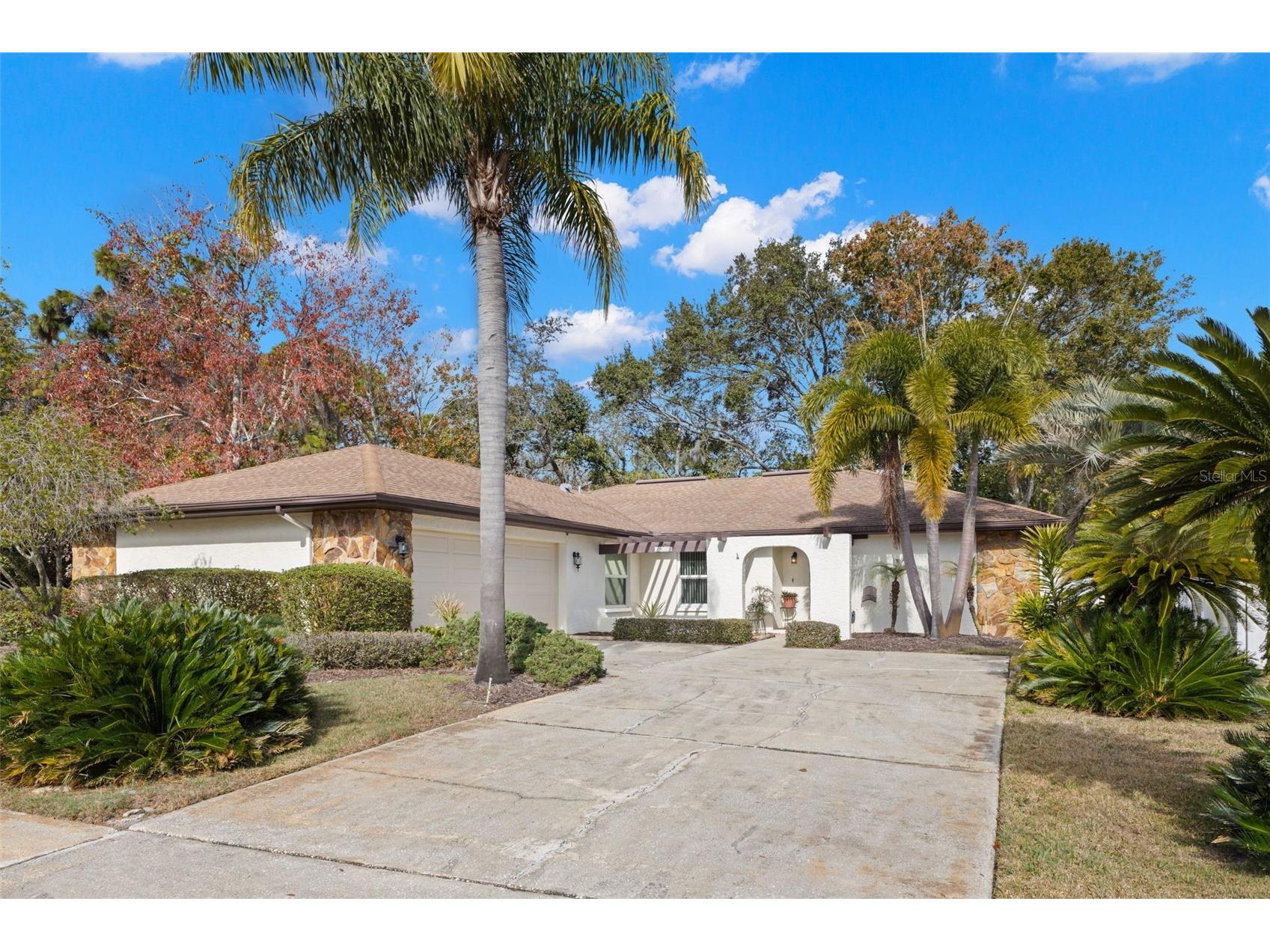 3420 Hyde Park Drive Clearwater FL 33761 TB8530966 image1