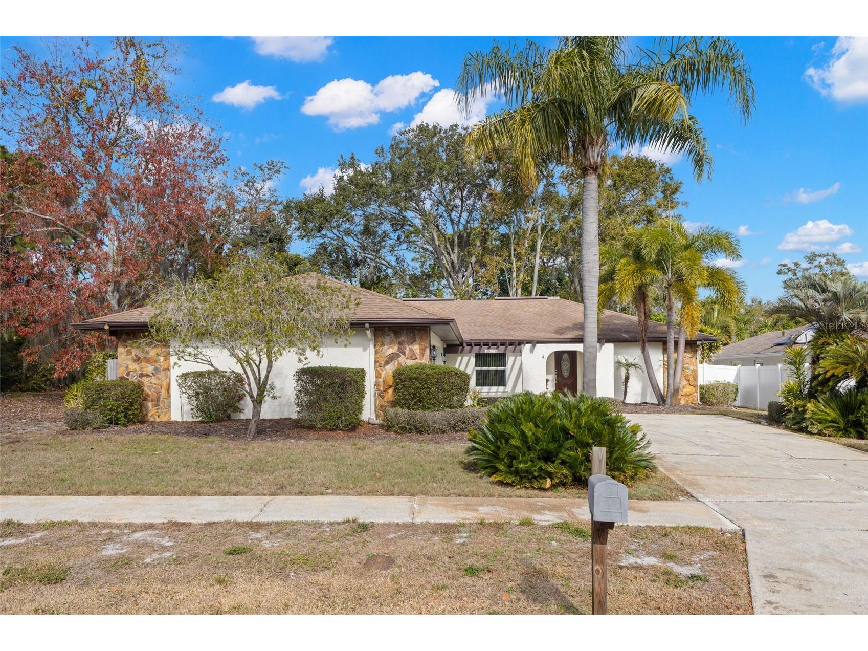 3420 Hyde Park Drive Clearwater FL 33761 TB8530966 image2