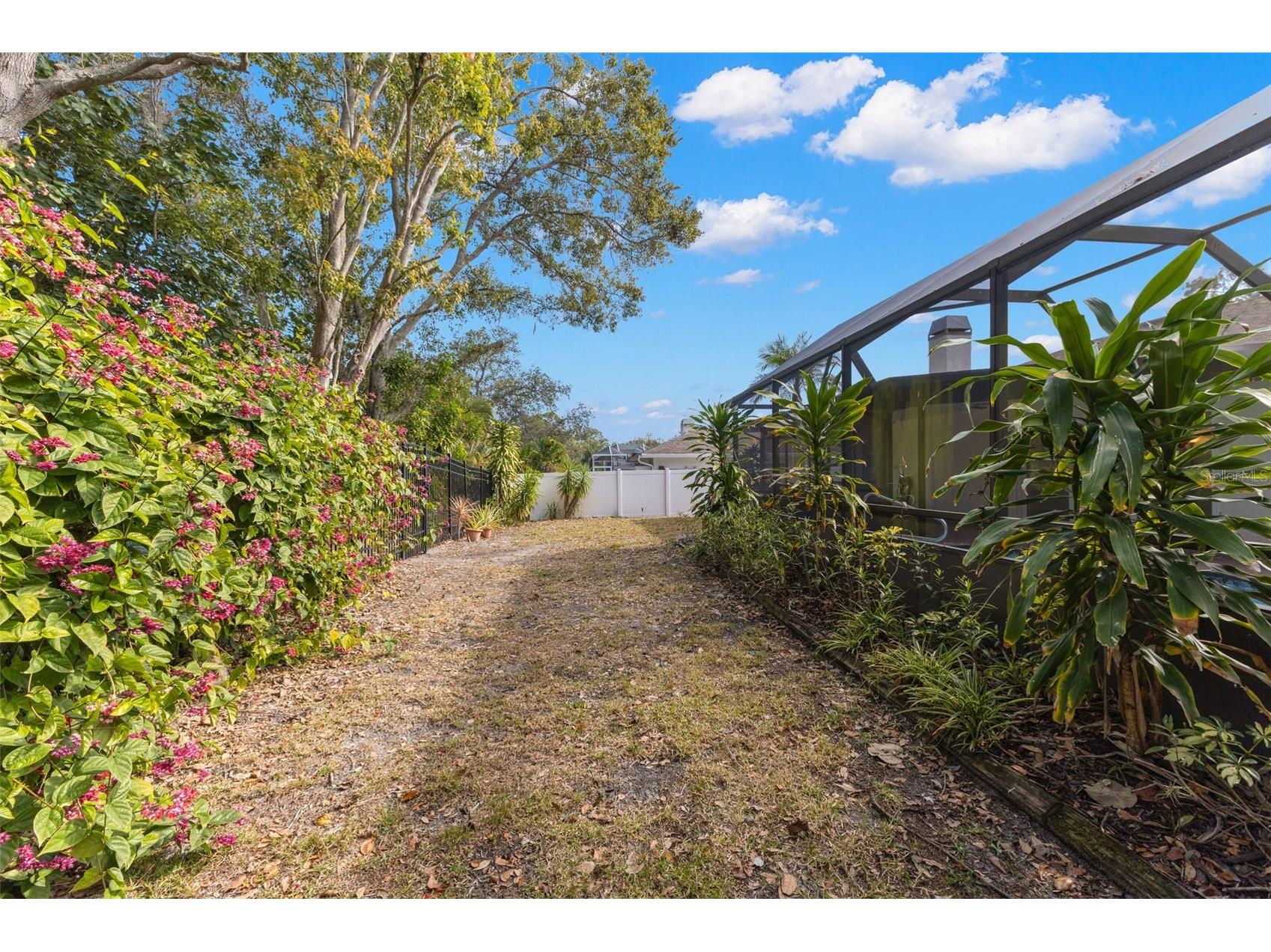 3420 Hyde Park Drive Clearwater FL 33761 TB8530966 image38