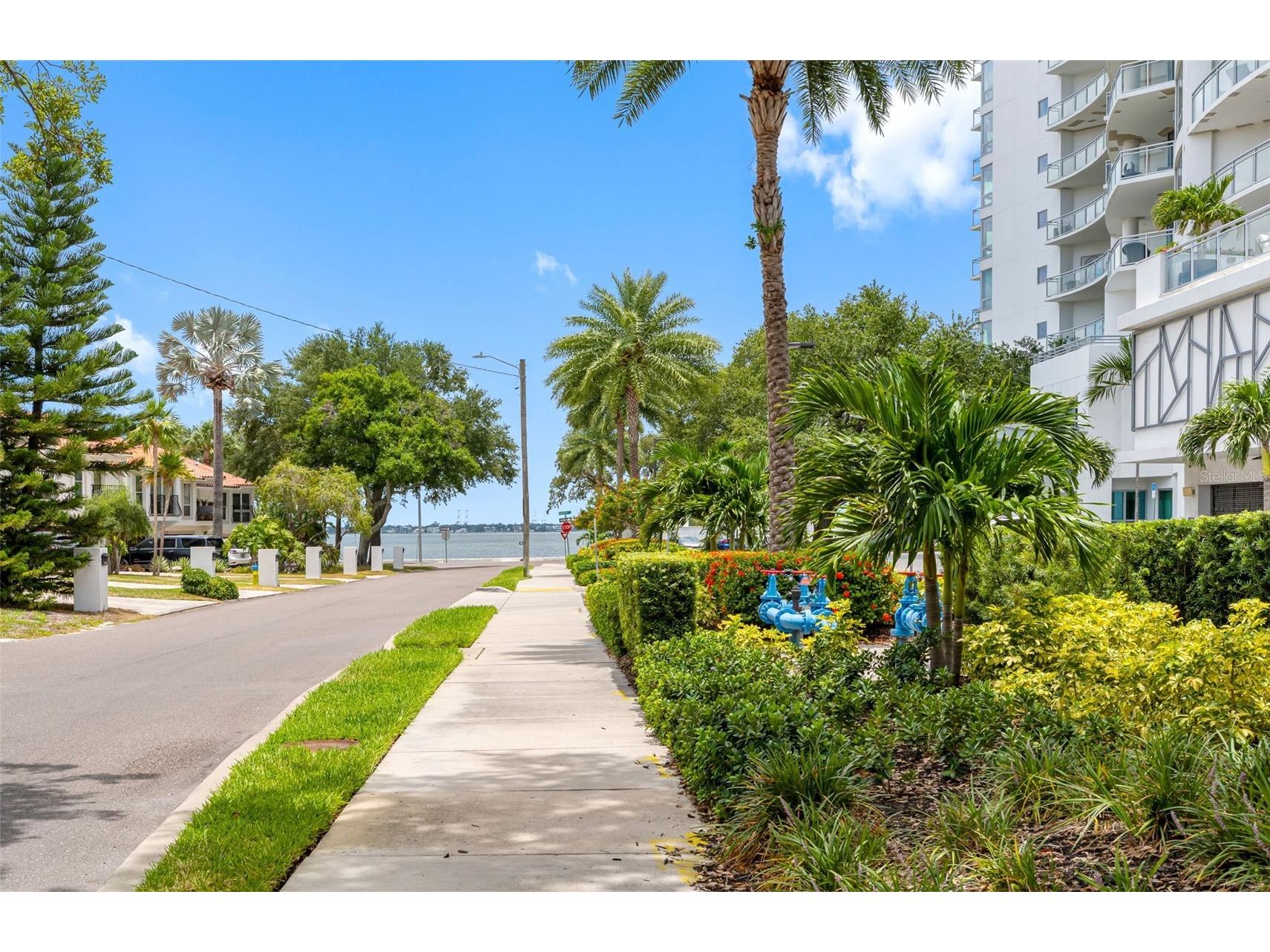 3420 S Carter Street #C Tampa FL 33629 TB8523981 image2