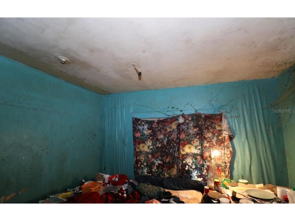 3420 S Palm Avenue Palatka FL 32177 FC313531 image16