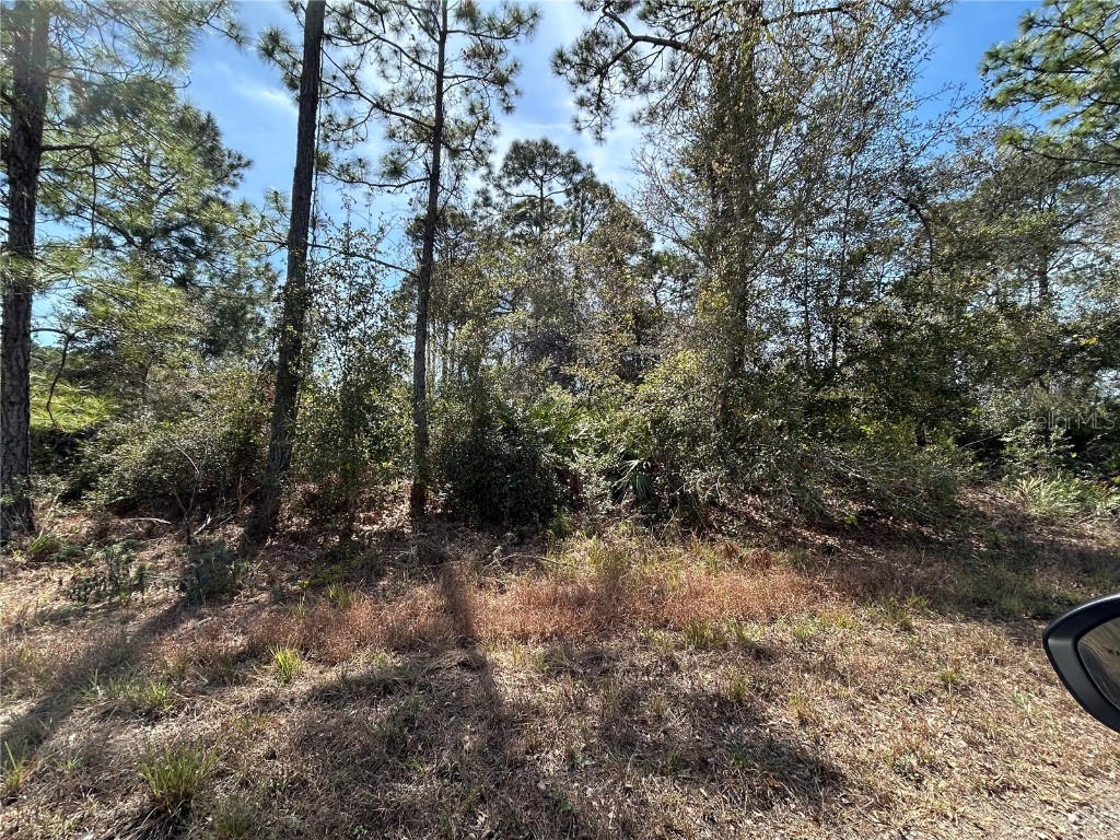 3420 Western Tanager Street #LT9 Lake Placid FL 33852 O6284541 image1