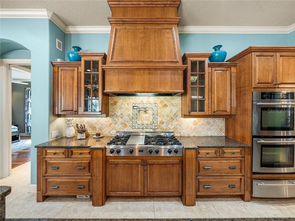 34201 Kentucky Derby Place Dade City FL 33525 TB8364044 image24