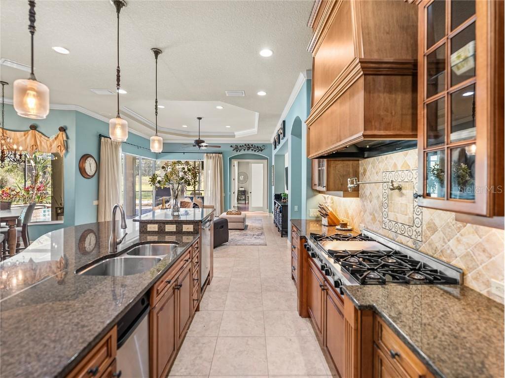 34201 Kentucky Derby Place Dade City FL 33525 TB8364044 image28