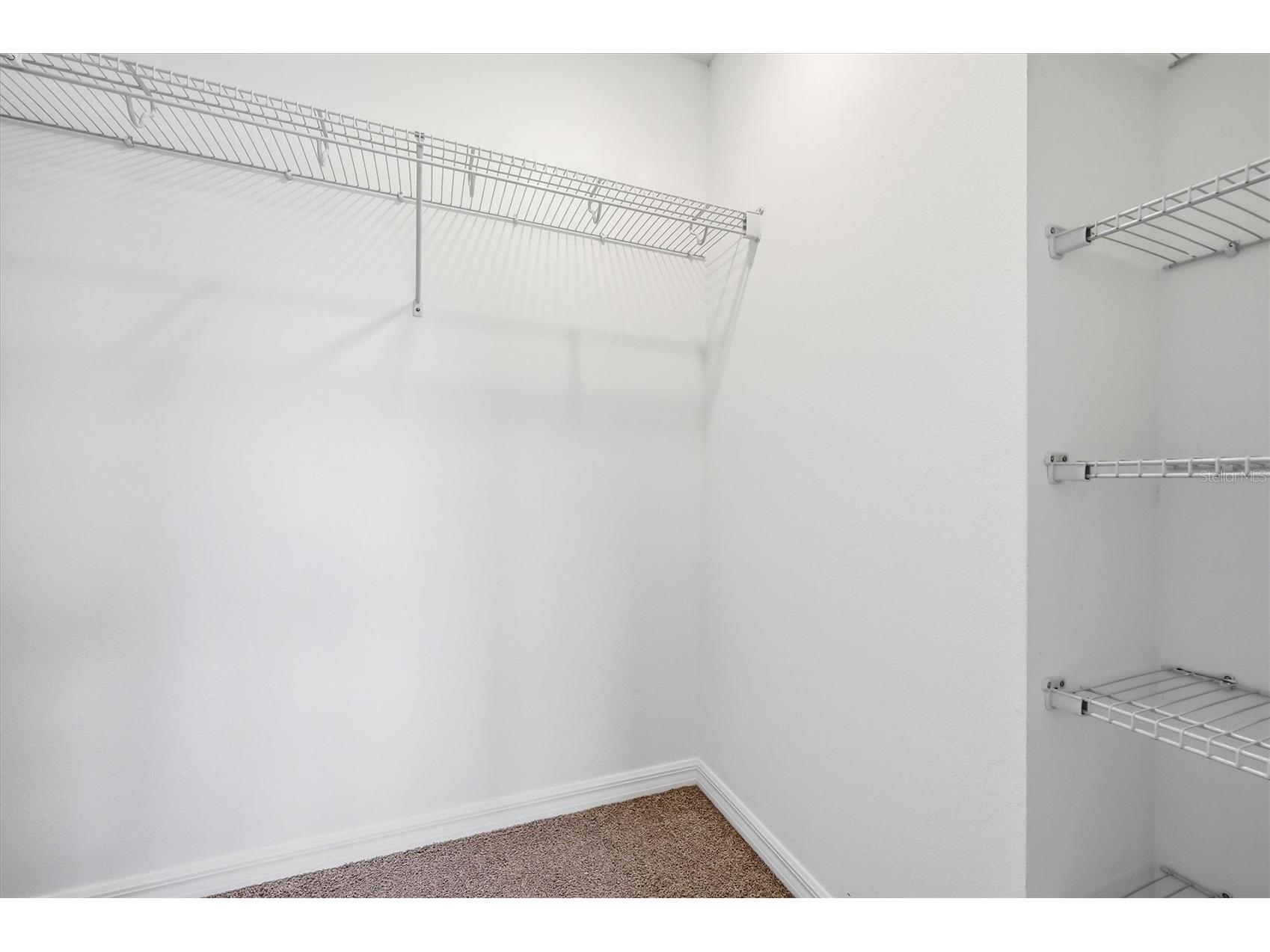 34202 Polacca Lane Wesley Chapel FL 33543 TB8512448 image22