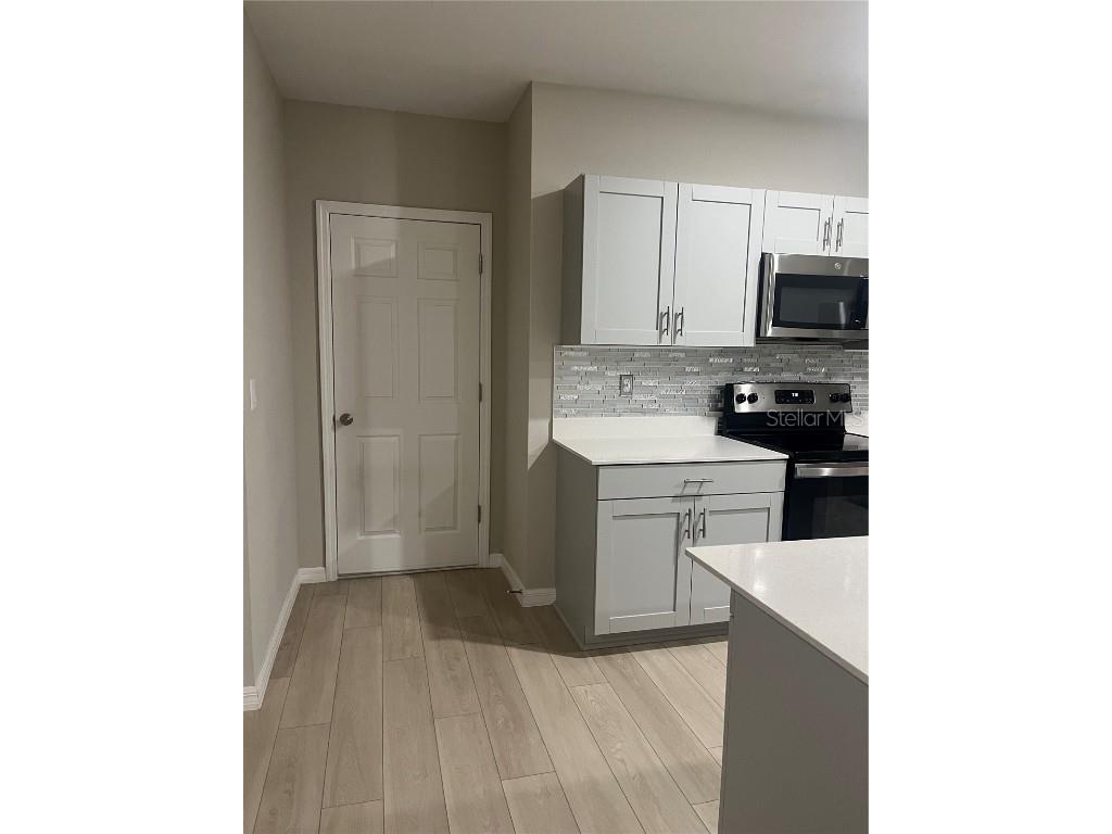 34209 Scarlet Sage Courts Wesley Chapel FL 33545 TB8445025 image10