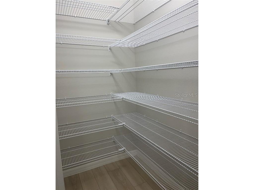 34209 Scarlet Sage Courts Wesley Chapel FL 33545 TB8445025 image14