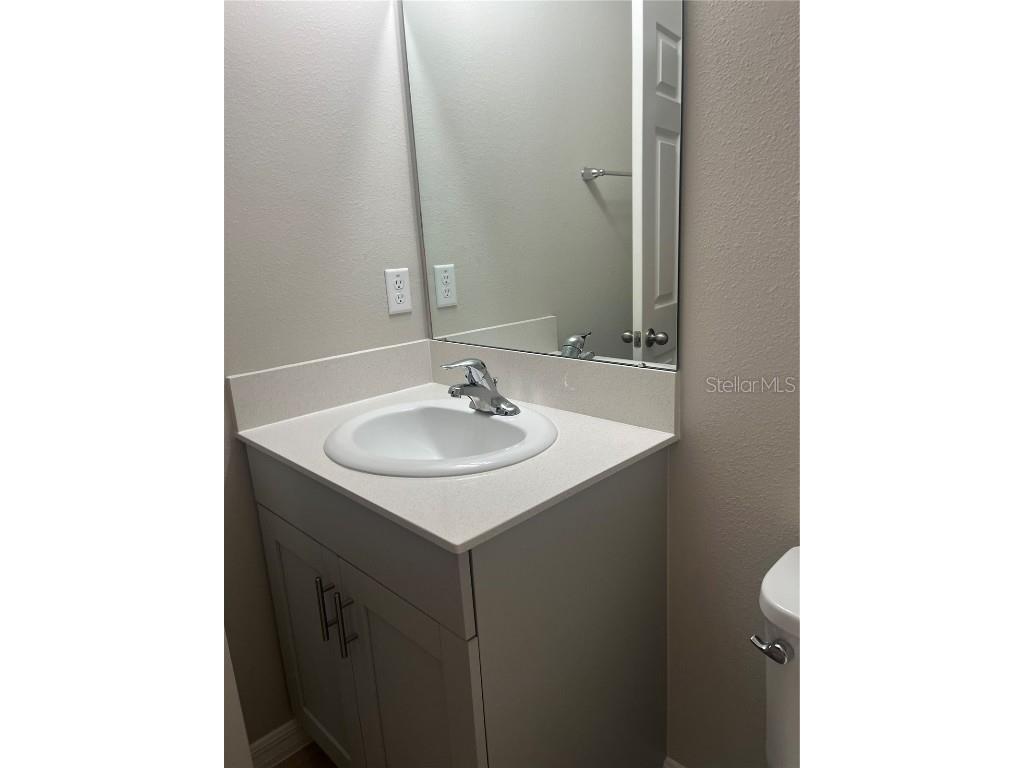 34209 Scarlet Sage Courts Wesley Chapel FL 33545 TB8445025 image15