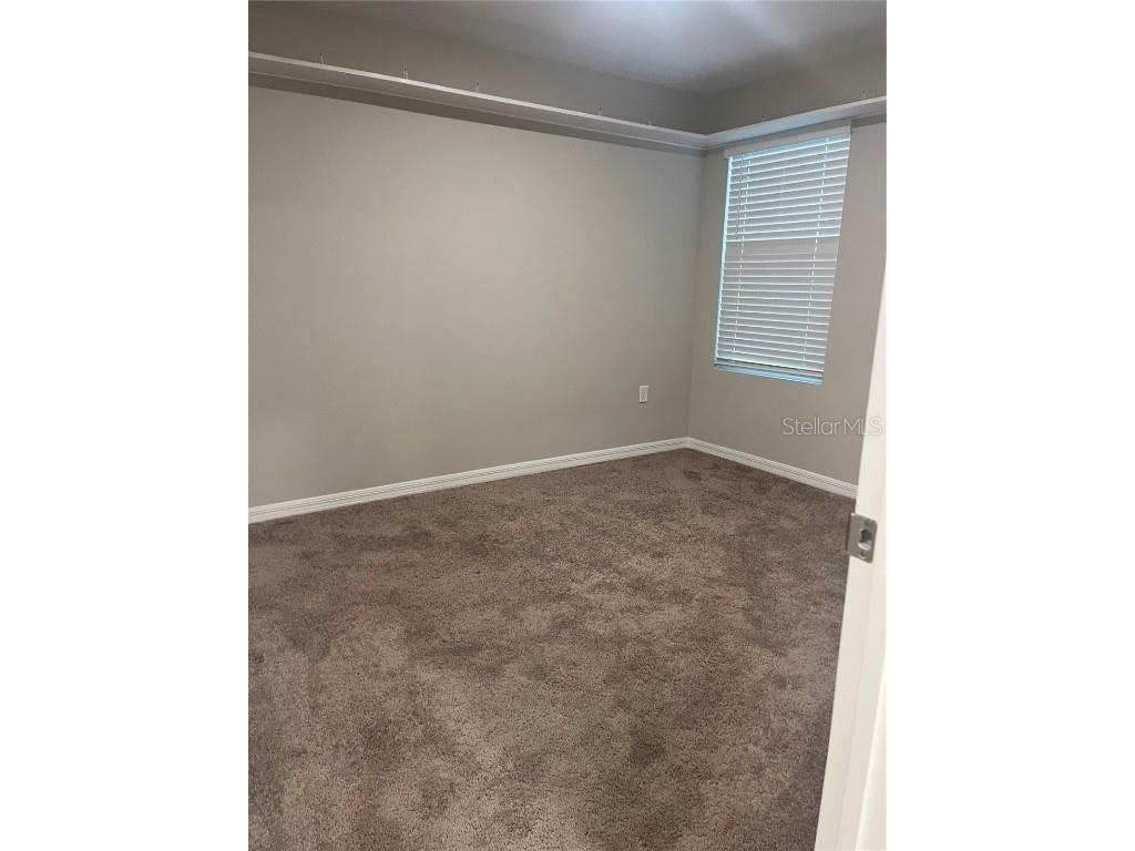 34209 Scarlet Sage Courts Wesley Chapel FL 33545 TB8445025 image19