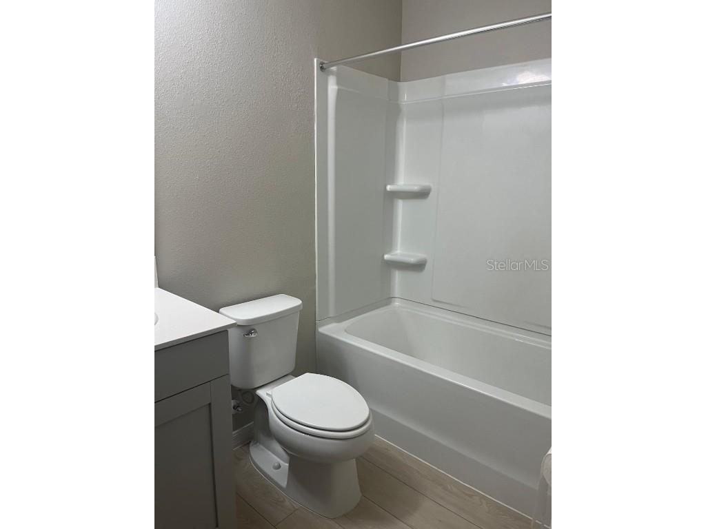 34209 Scarlet Sage Courts Wesley Chapel FL 33545 TB8445025 image21