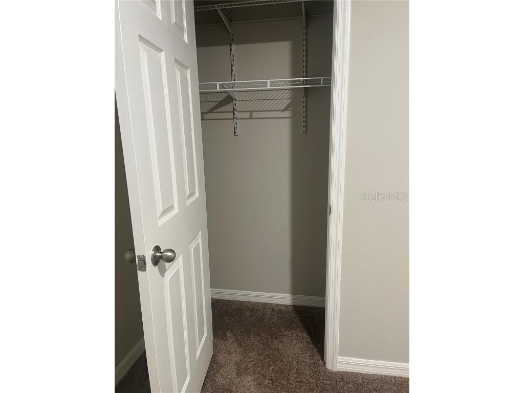 34209 Scarlet Sage Courts Wesley Chapel FL 33545 TB8445025 image23