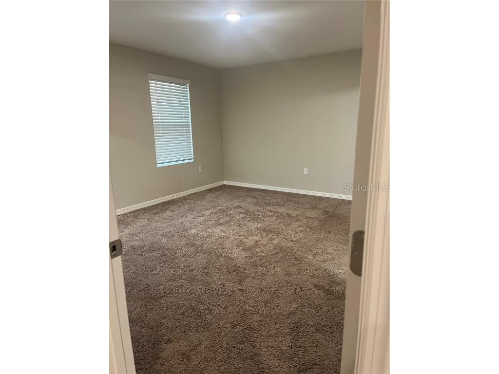 34209 Scarlet Sage Courts Wesley Chapel FL 33545 TB8445025 image25