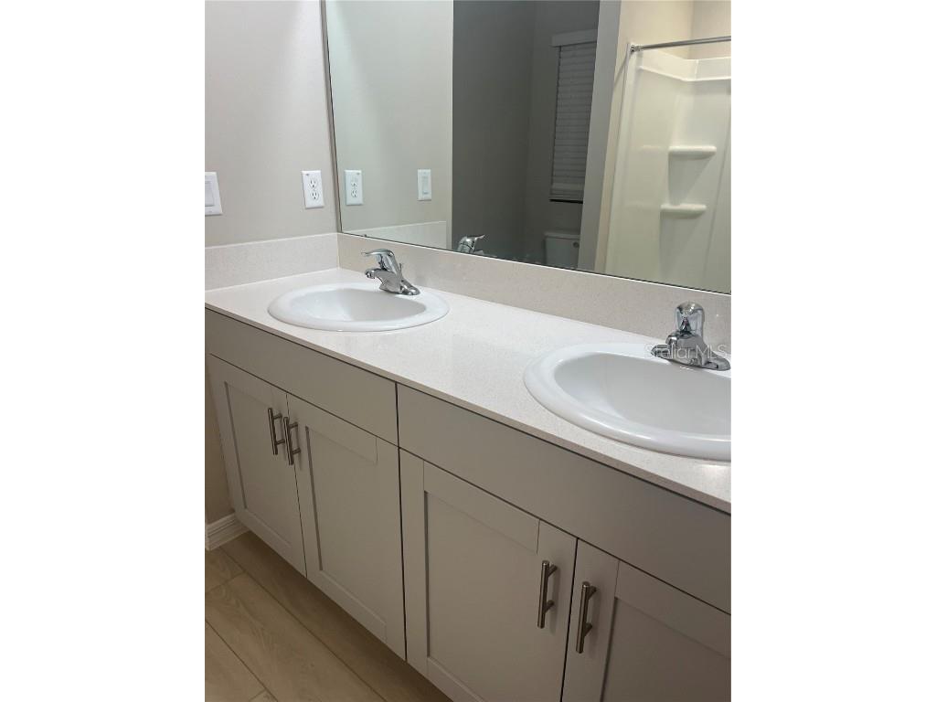 34209 Scarlet Sage Courts Wesley Chapel FL 33545 TB8445025 image26