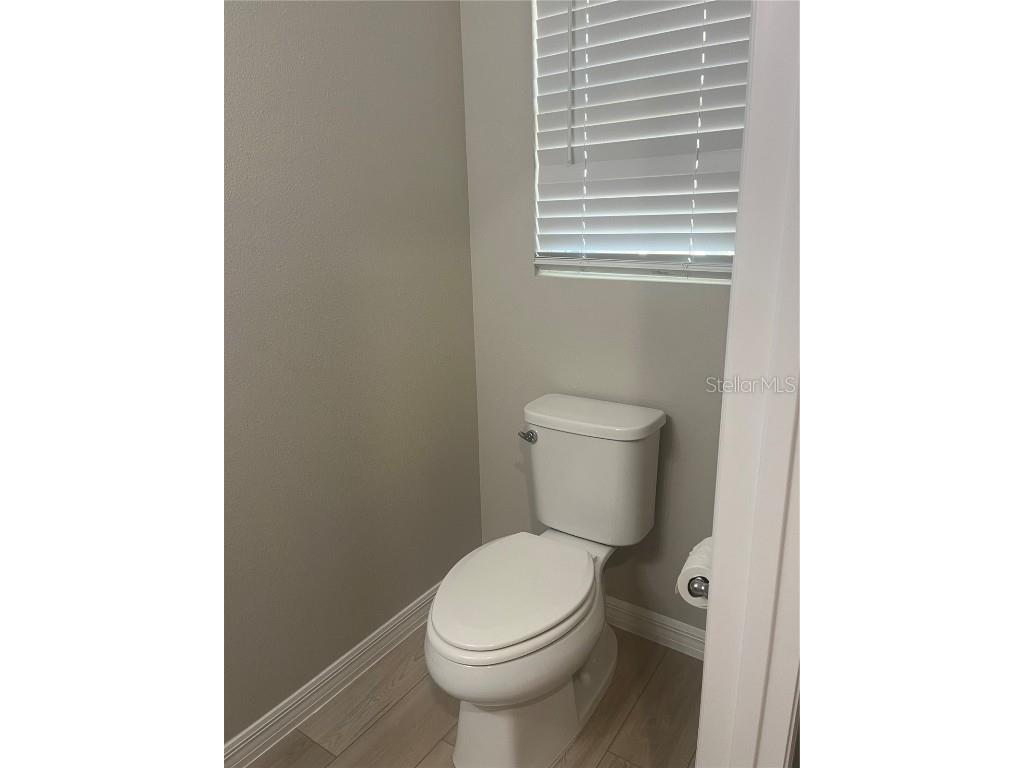 34209 Scarlet Sage Courts Wesley Chapel FL 33545 TB8445025 image6