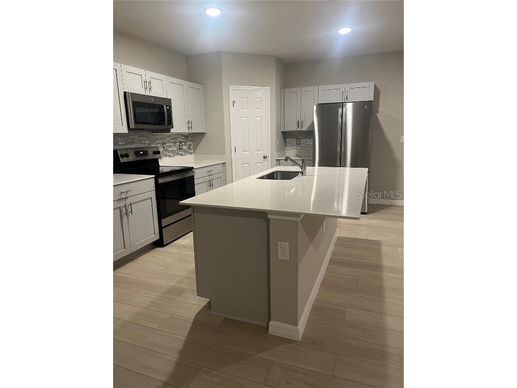 34209 Scarlet Sage Courts Wesley Chapel FL 33545 TB8445025 image9