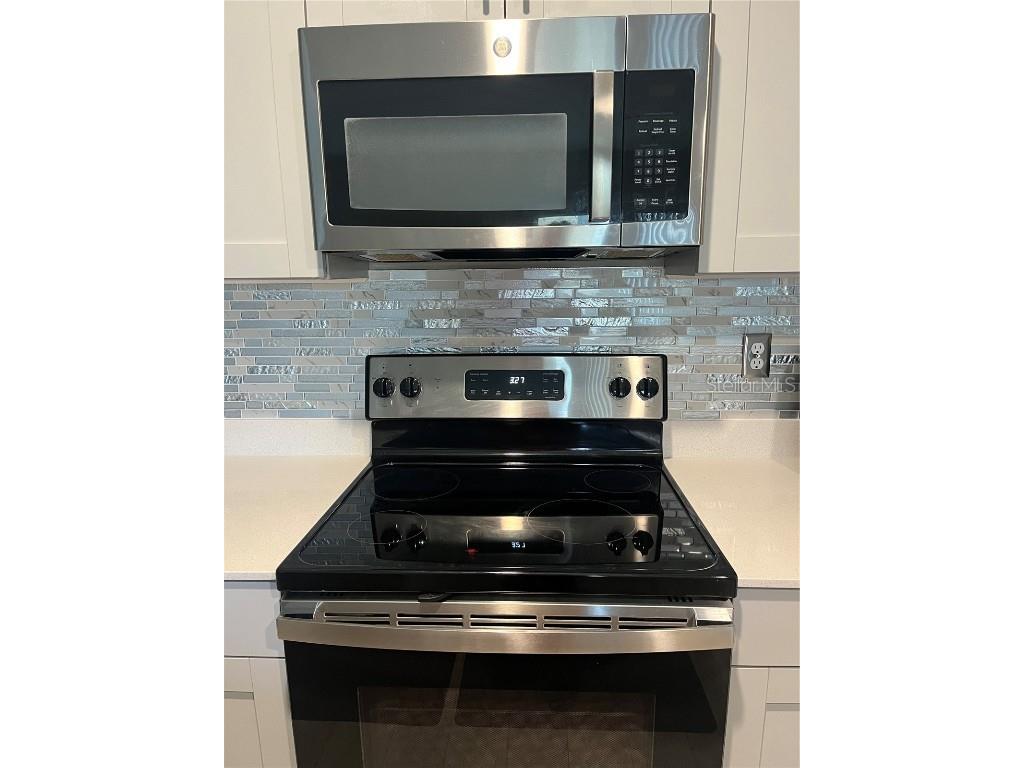 34209 Scarlet Sage Wesley Chapel FL 33545 TB8445733 image11