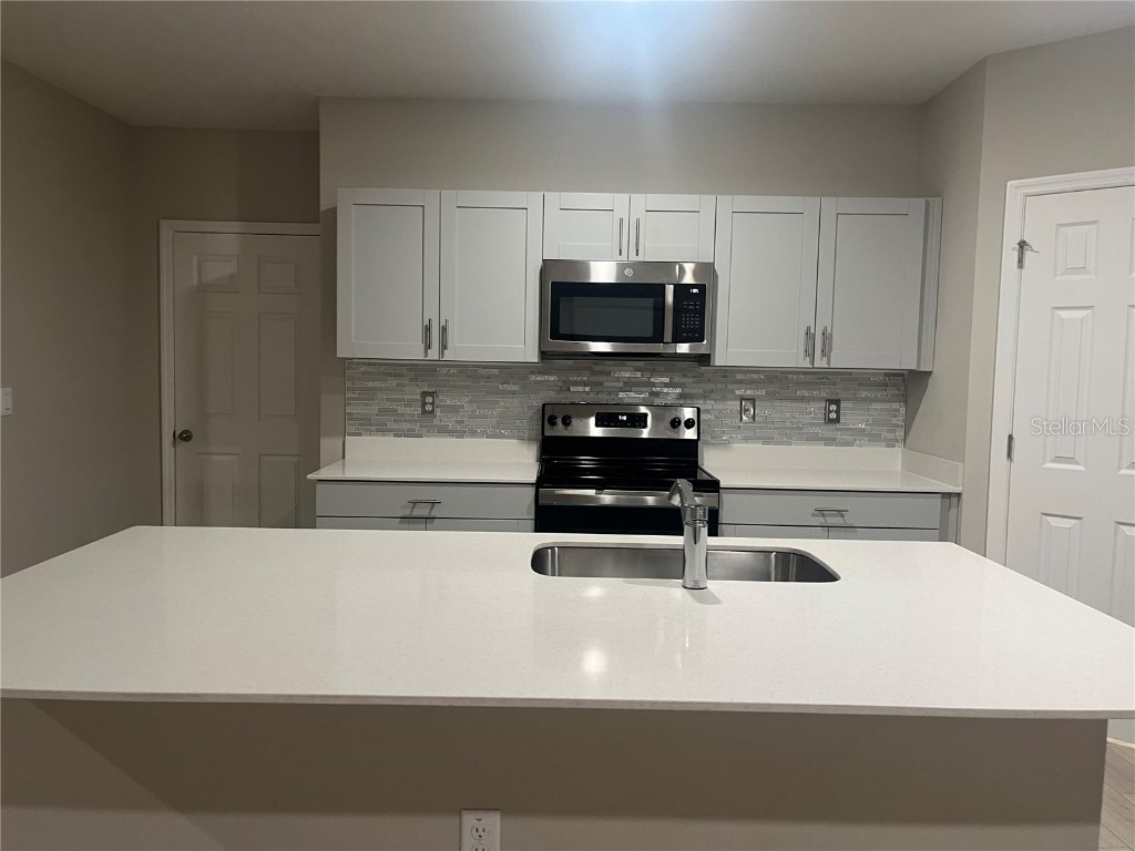 34209 Scarlet Sage Wesley Chapel FL 33545 TB8445733 image13