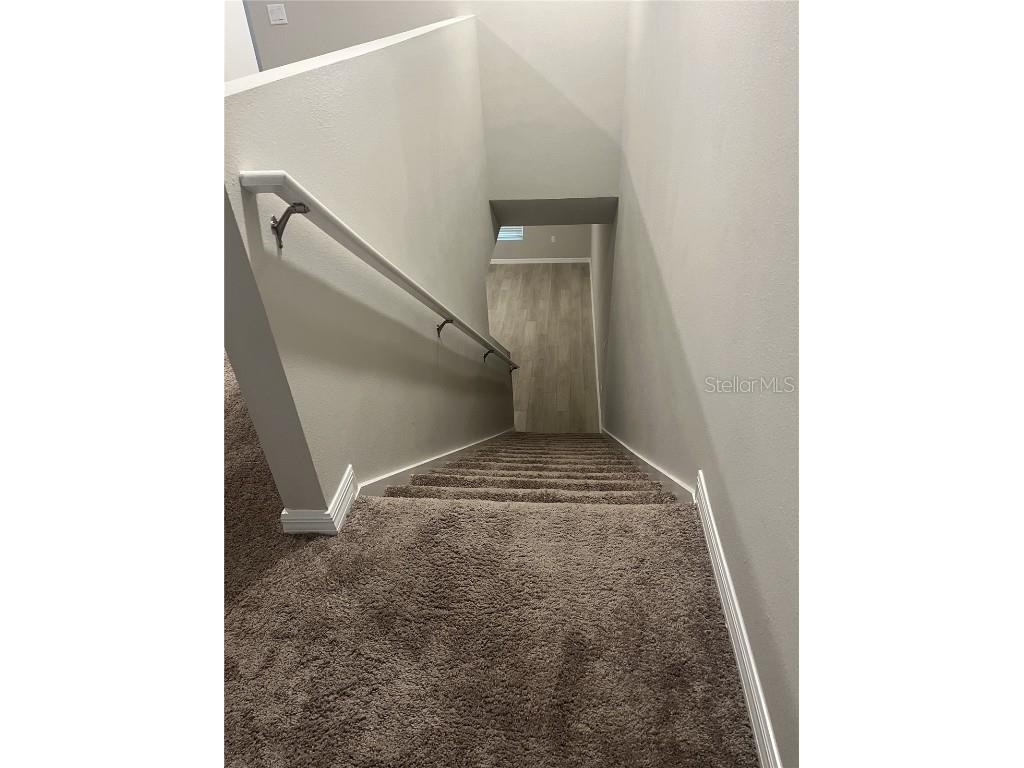 34209 Scarlet Sage Wesley Chapel FL 33545 TB8445733 image17