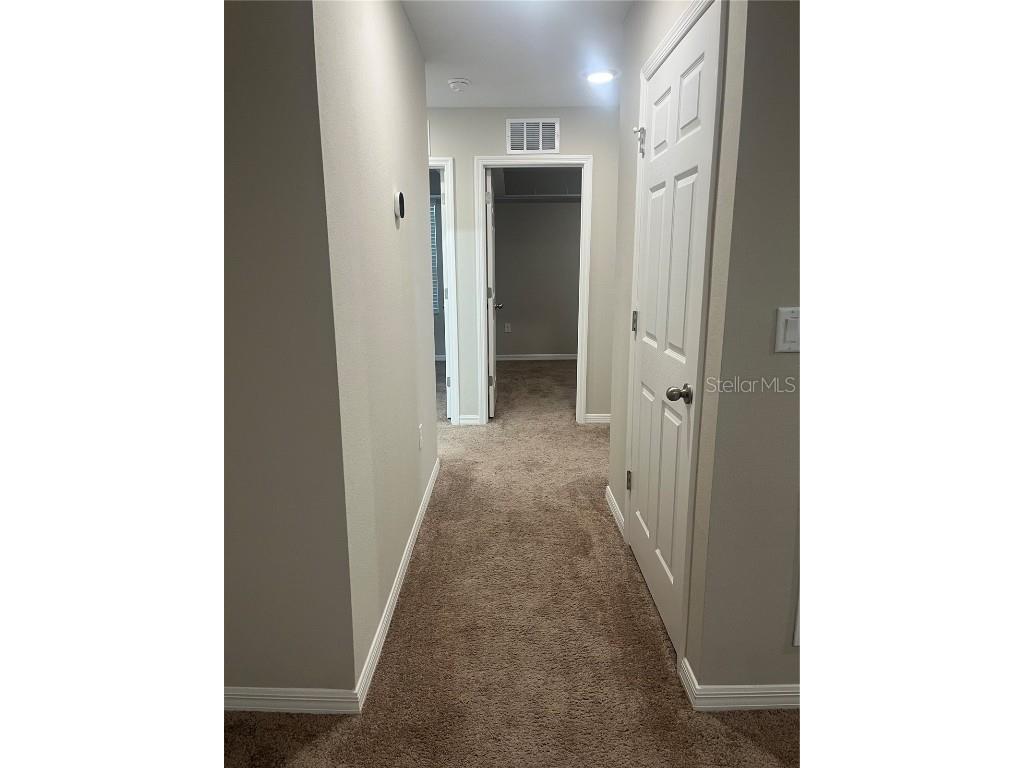 34209 Scarlet Sage Wesley Chapel FL 33545 TB8445733 image18