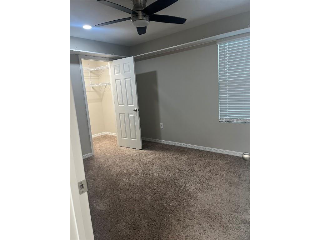 34209 Scarlet Sage Wesley Chapel FL 33545 TB8445733 image22