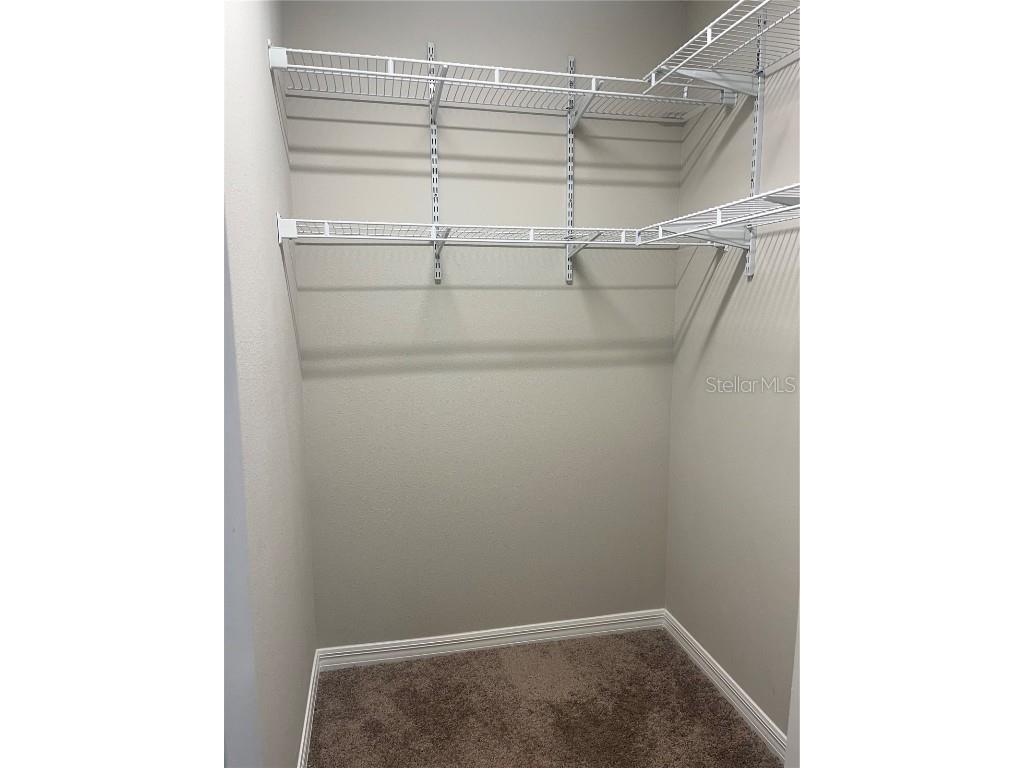 34209 Scarlet Sage Wesley Chapel FL 33545 TB8445733 image24