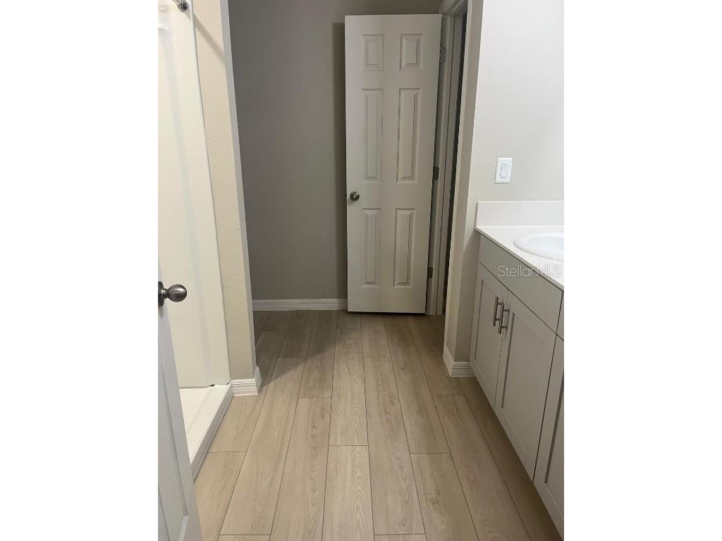 34209 Scarlet Sage Wesley Chapel FL 33545 TB8445733 image27