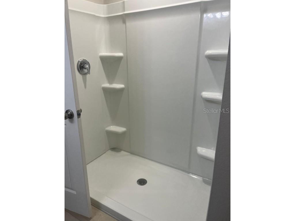 34209 Scarlet Sage Wesley Chapel FL 33545 TB8445733 image28