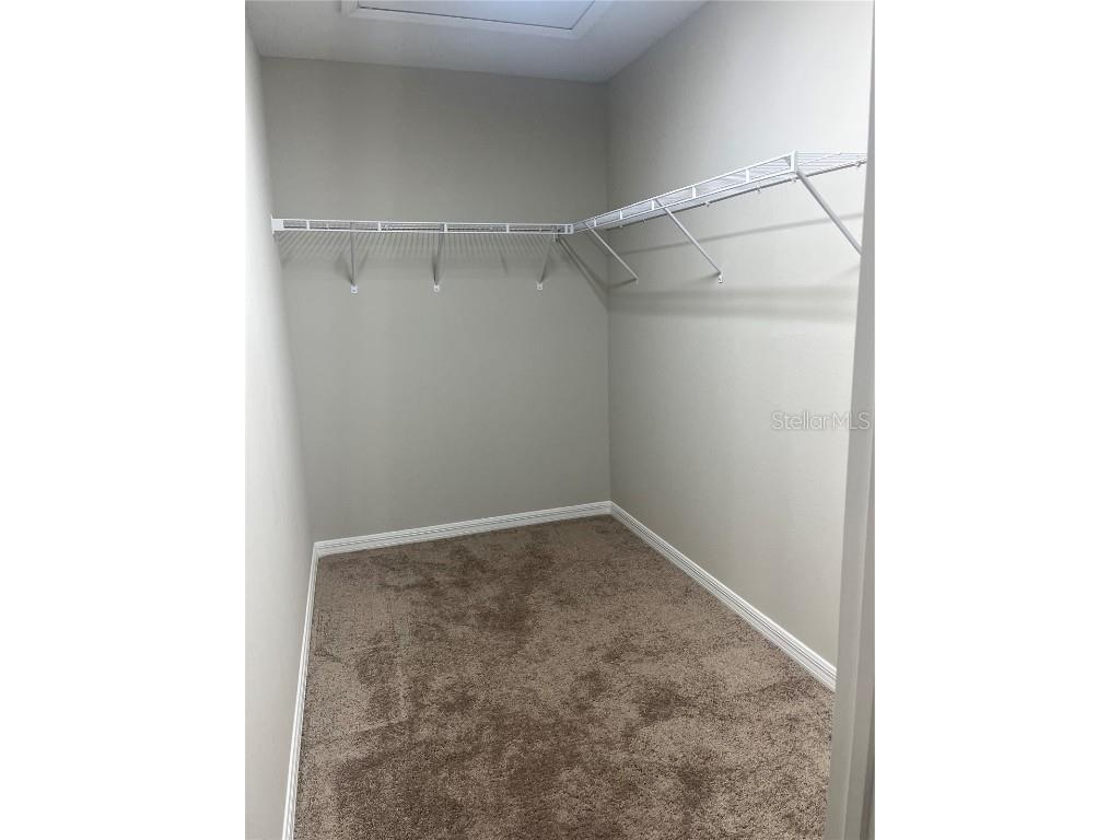 34209 Scarlet Sage Wesley Chapel FL 33545 TB8445733 image29