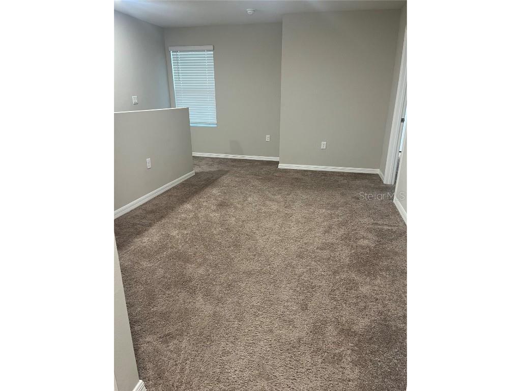 34209 Scarlet Sage Wesley Chapel FL 33545 TB8445733 image30